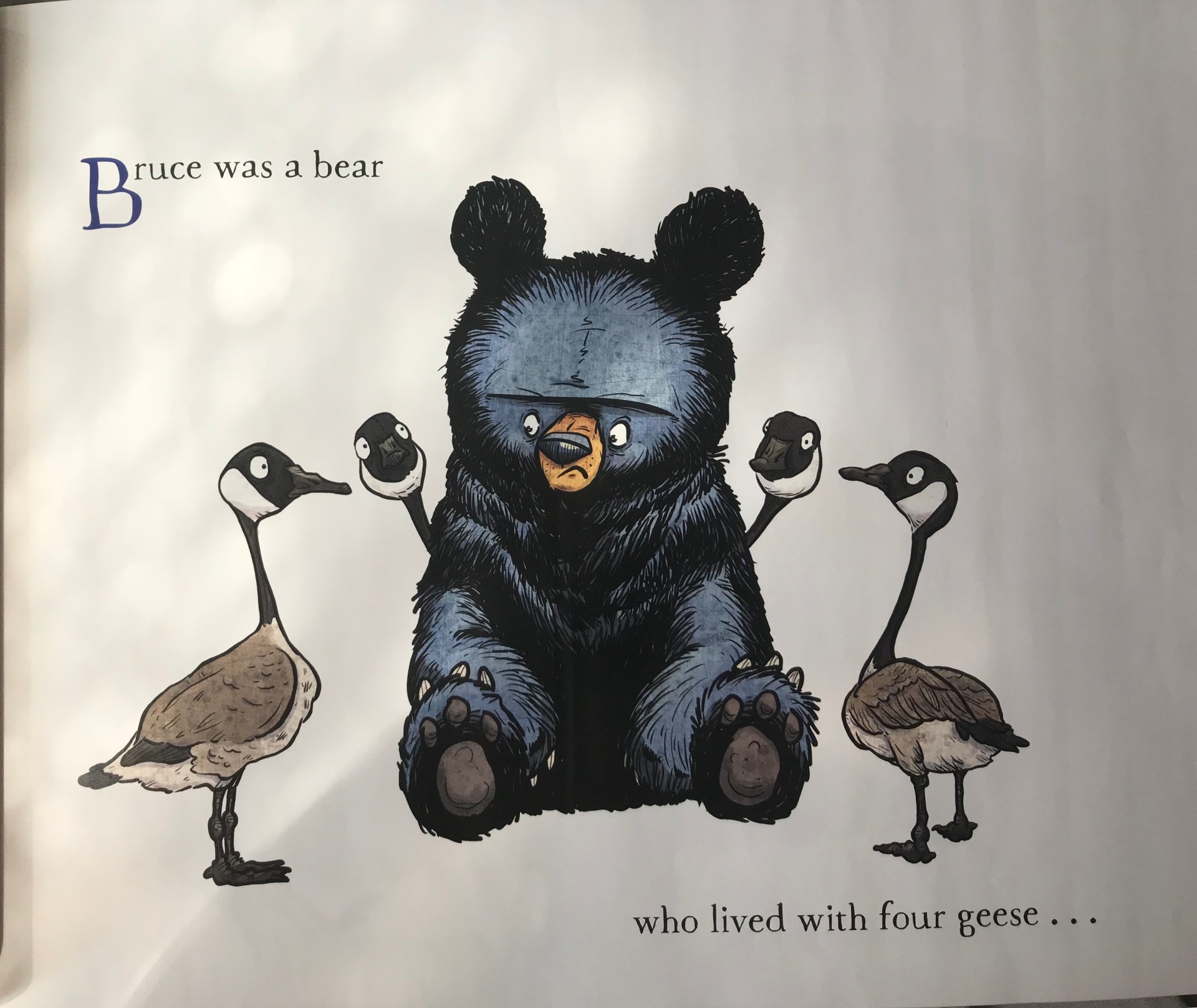 Bruce the bear had a home, while he was gone it was overthrown. (Instrument used: Tubano Drum)